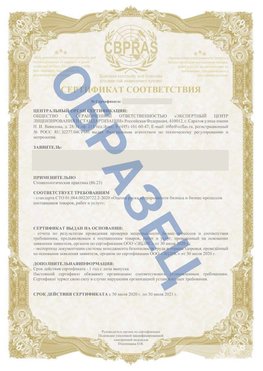 Образец Сертификат СТО 01.064.00220722.2-2020 Ачинск Сертификат СТО 01.064.00220722.2-2020 